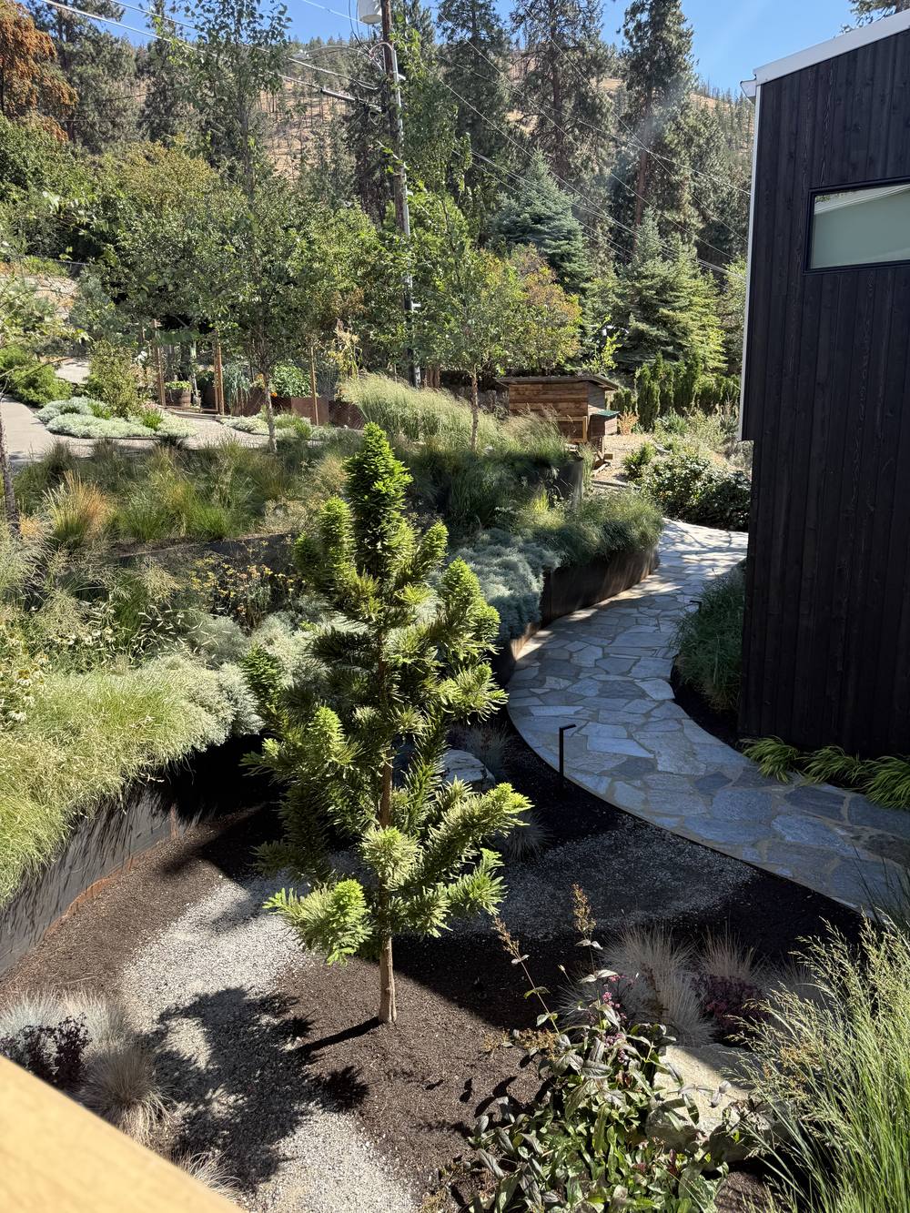 Established slope planting along a flagstone path, KDT Landscaping Kelowna